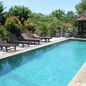 Bed & Breakfast Paranyogan